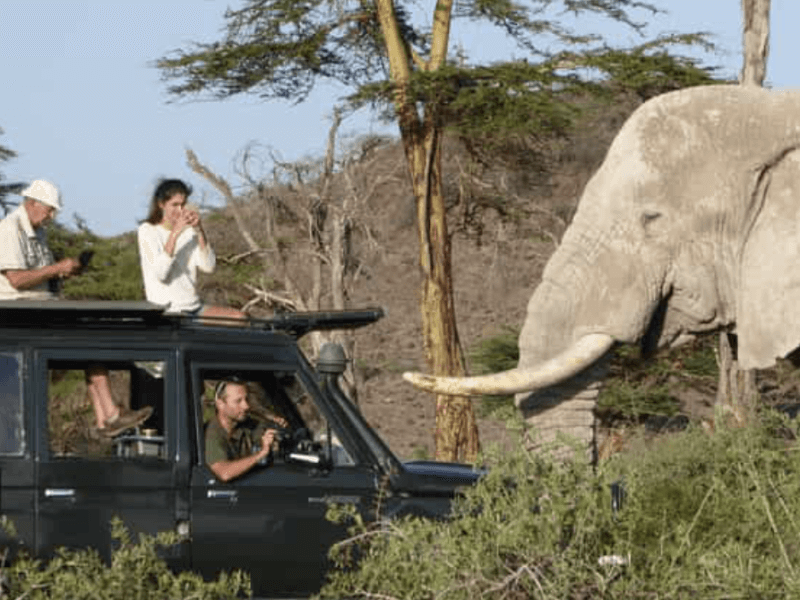 kenya