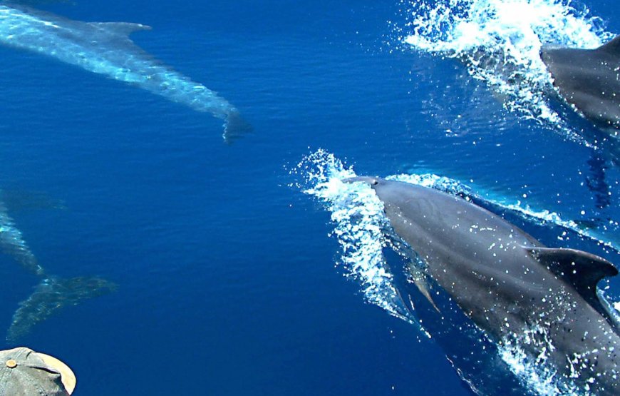 Book Your Winter Paradise in Maldives Now!