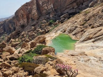 socotra