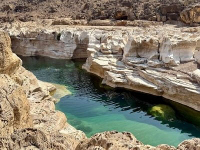 socotra