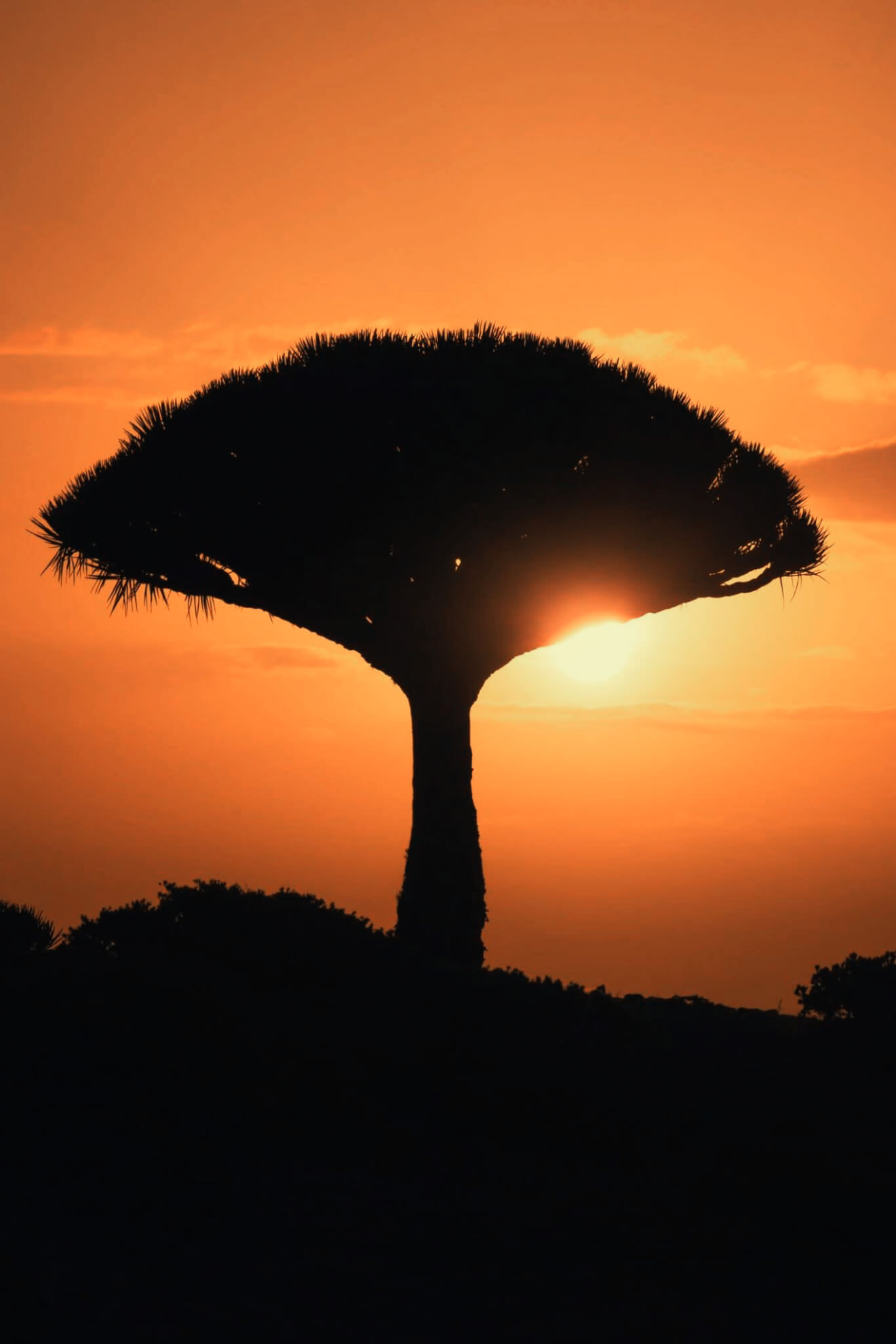 DAY 3: Homhil Infinity Pool – Wadi Shifa – Arher Beach – Rosh Marine Protected Area 