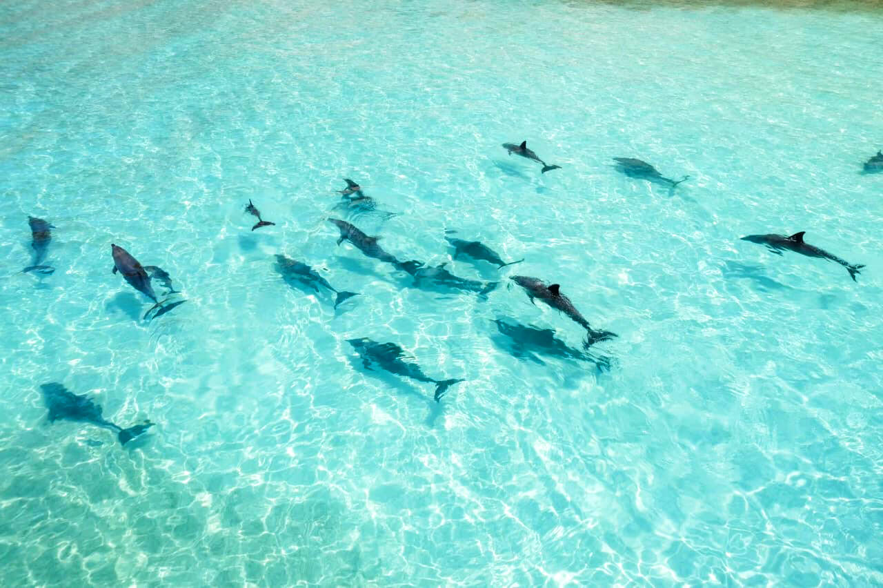 DAY 7: Shu’ab beach - Ayhaft National Park 